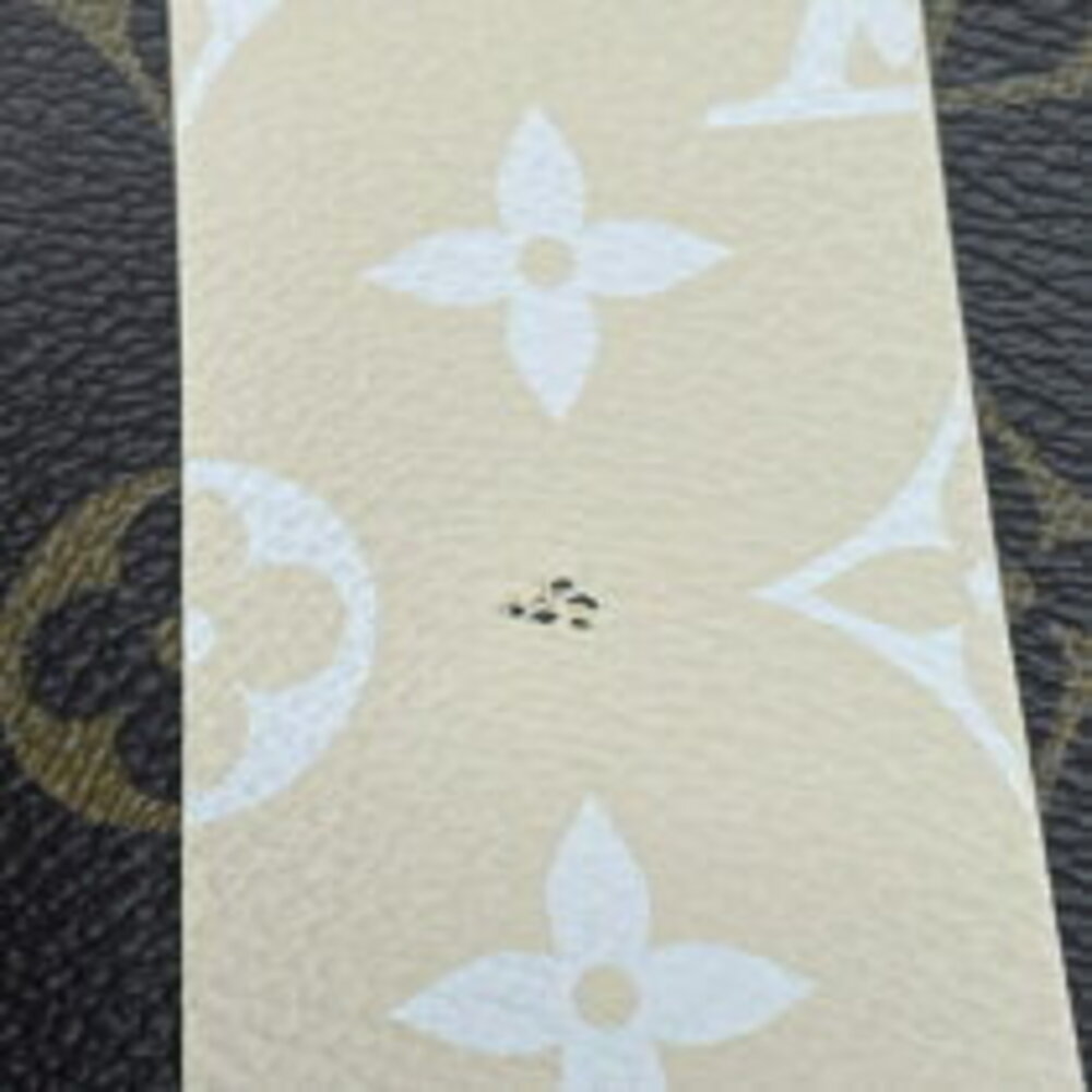 Louis Vuitton Rayeur Monogram Cream Bag Neverfull Brown XM Tote - Picture 7 of 11